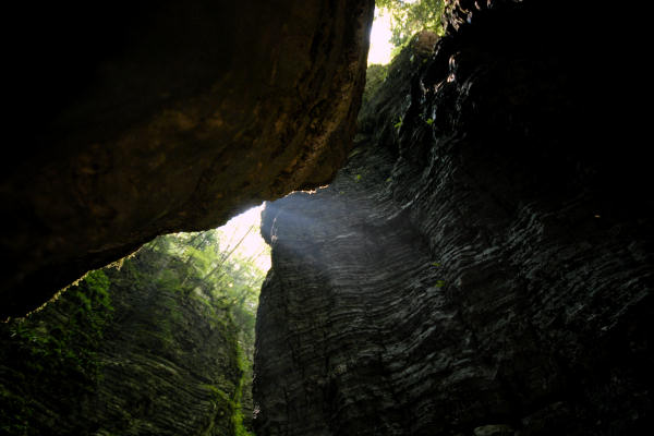 Valle del torrente Ardo, Val de l'Art, monte Schiara, Belluno