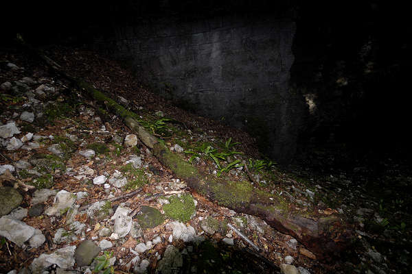 Valle del torrente Ardo, Val de l'Art, monte Schiara, Belluno