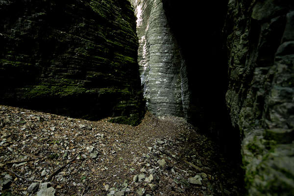 Valle del torrente Ardo, Val de l'Art, monte Schiara, Belluno