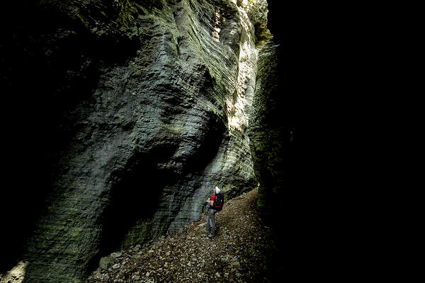 Valle del torrente Ardo, Val de l'Art, monte Schiara, Belluno