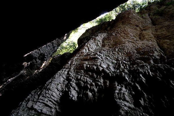 Valle del torrente Ardo, Val de l'Art, monte Schiara, Belluno