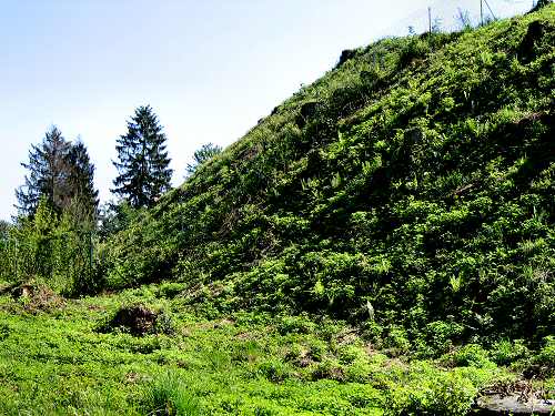 Noal di Sedico - Belluno