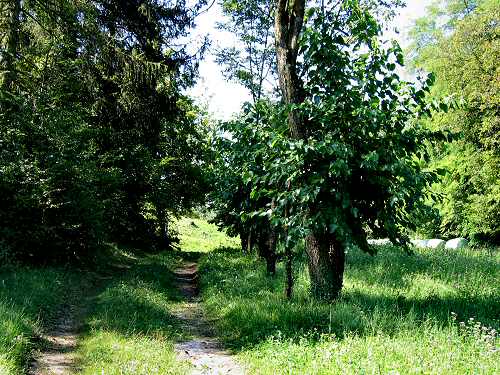 Noal di Sedico - Belluno