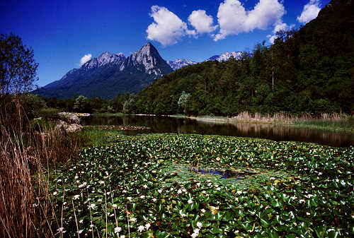 Sospirolo Certosa Di Vedana Valle Del Mis Lago Di Mis Pro Loco Monti Del Sole Villa Sandi Zasso Moldoi Comune Di Sospirolo Valbelluna Belluno Parco Nazionale Dolomiti Bellunesi Le Gene Cadini Del