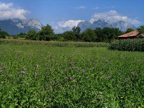 Belluno - Val Belluna