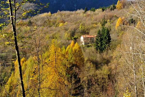 Le Gene Gena Alta Gena Media, Monti del Sole nella valle del Mis, Sospirolo