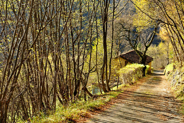 Le Gene Gena Alta Gena Media, Monti del Sole nella valle del Mis, Sospirolo