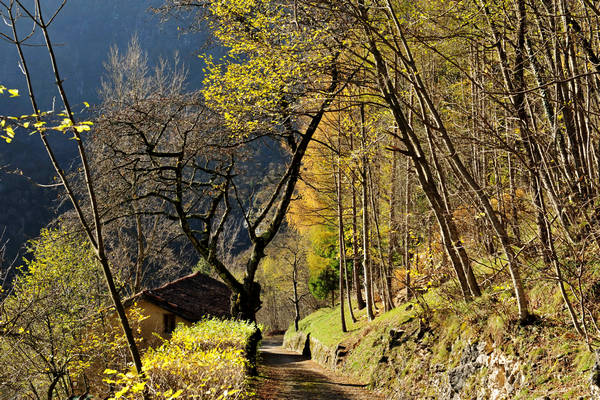 Le Gene Gena Alta Gena Media, Monti del Sole nella valle del Mis, Sospirolo