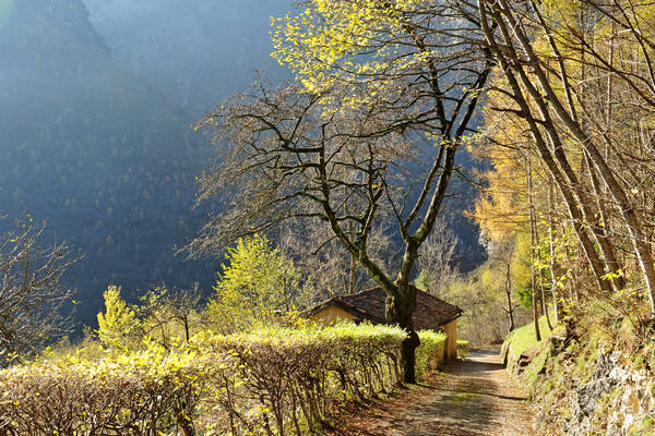 Le Gene Gena Alta Gena Media, Monti del Sole nella valle del Mis, Sospirolo