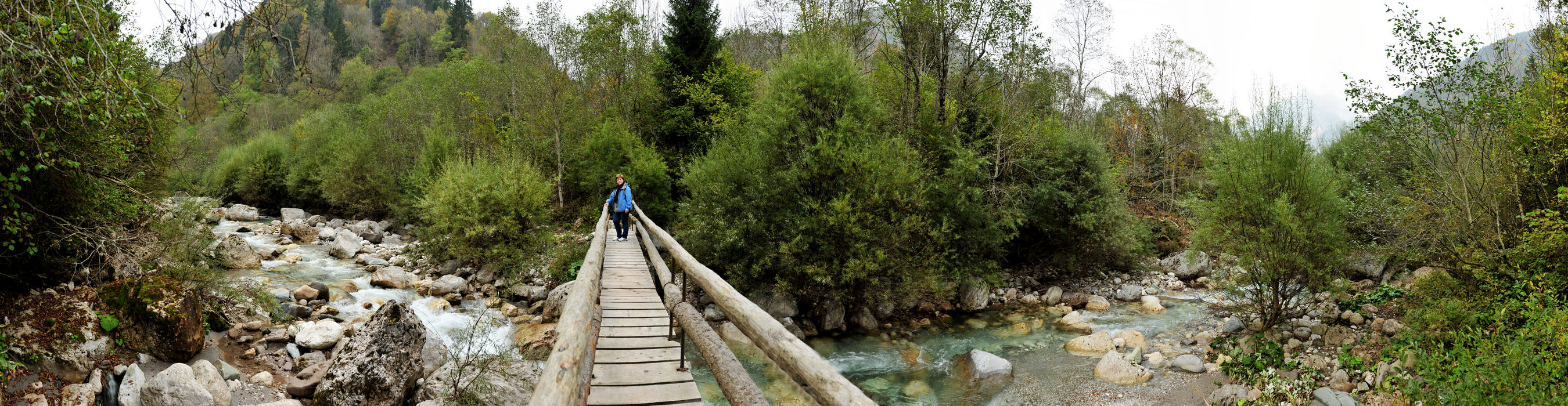 California in Valle del Mis a Gosaldo, PNDB