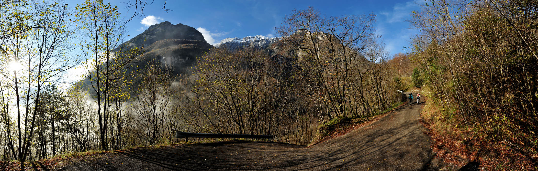 Le Gene nella Valle del Mis, Parco Nazionale Dolomiti Bellunesi