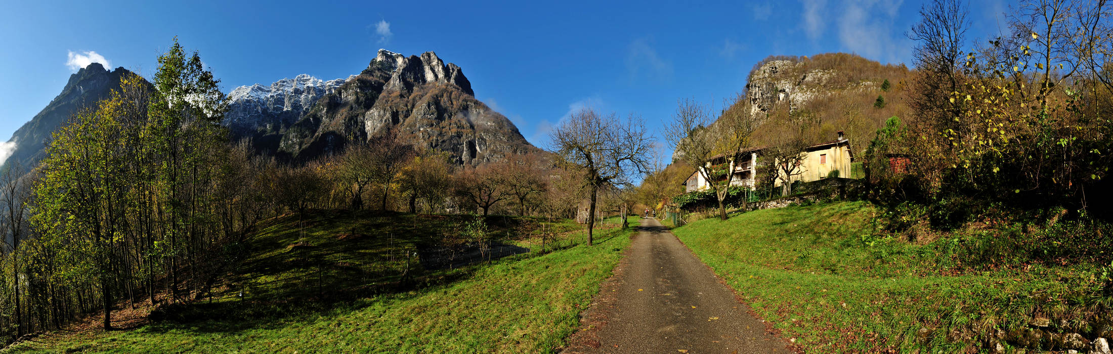 Le Gene nella Valle del Mis, Parco Nazionale Dolomiti Bellunesi