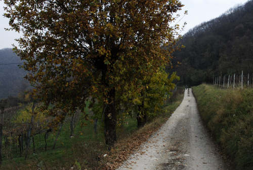 Valmarana di Altavilla Vicentina