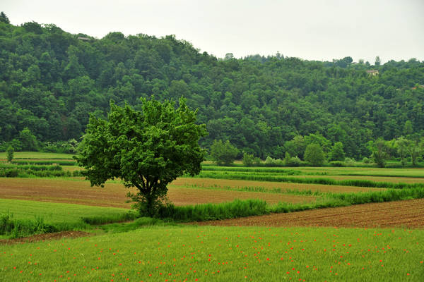 Arcugnano, passeggiata Sant'Agostino Zanchi Perarolo Salve Regina Valmarana