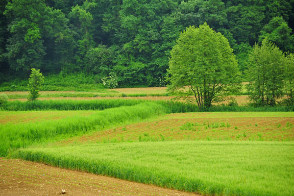 Arcugnano, passeggiata Sant'Agostino Zanchi Perarolo Salve Regina Valmarana