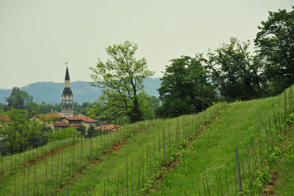 Arcugnano, passeggiata Sant'Agostino Zanchi Perarolo Salve Regina Valmarana