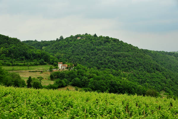 Arcugnano, passeggiata Sant'Agostino Zanchi Perarolo Salve Regina Valmarana