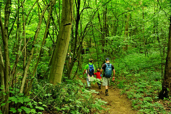 Arcugnano, passeggiata Sant'Agostino Zanchi Perarolo Salve Regina Valmarana