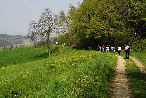Villabalzana, Lago di Fimon - Arcugnano, Monti Berici, Vicenza