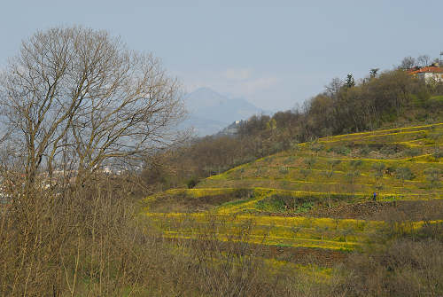 Brendola - Monte Comunale e Rocca dei Vescovi