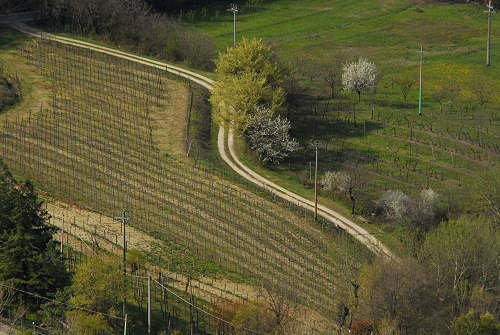 Brendola - Monte Comunale e Rocca dei Vescovi