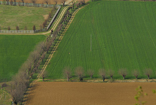 Brendola - Monte Comunale e Rocca dei Vescovi