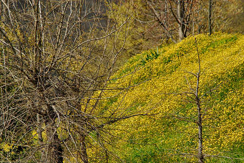 Brendola - Monte Comunale e Rocca dei Vescovi
