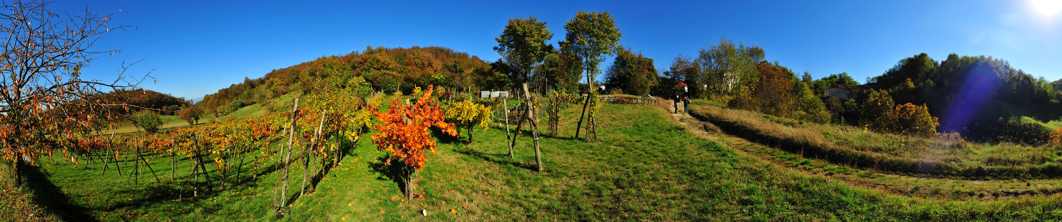 Agriturismo Da Bedin Brendola, Monti Berici, Vicenza