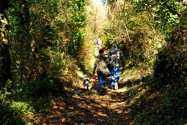 Brendola, passeggiata Agriturismo Da Bedin, Perarolo, San Gottardo