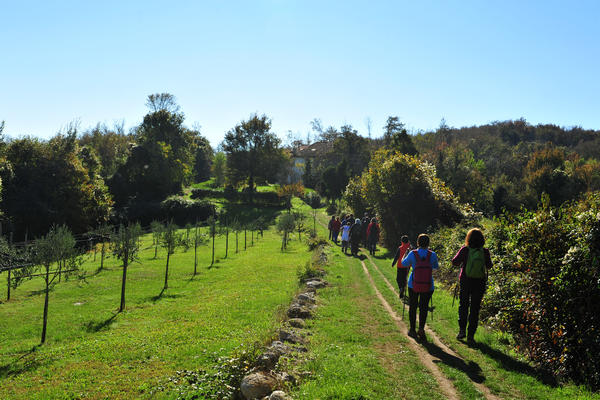 Brendola, passeggiata Agriturismo Da Bedin, Perarolo, San Gottardo