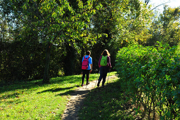 Brendola, passeggiata Agriturismo Da Bedin, Perarolo, San Gottardo