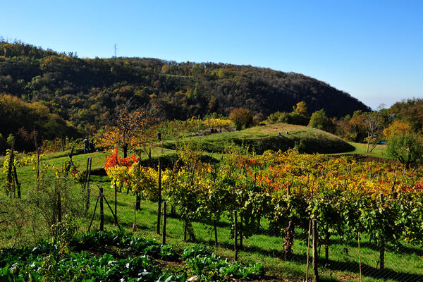 Brendola, passeggiata Agriturismo Da Bedin, Perarolo, San Gottardo
