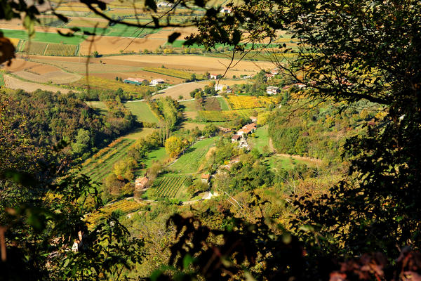 Brendola, passeggiata Agriturismo Da Bedin, Perarolo, San Gottardo