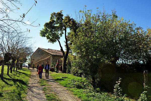Brendola, passeggiata Agriturismo Da Bedin, Perarolo, San Gottardo