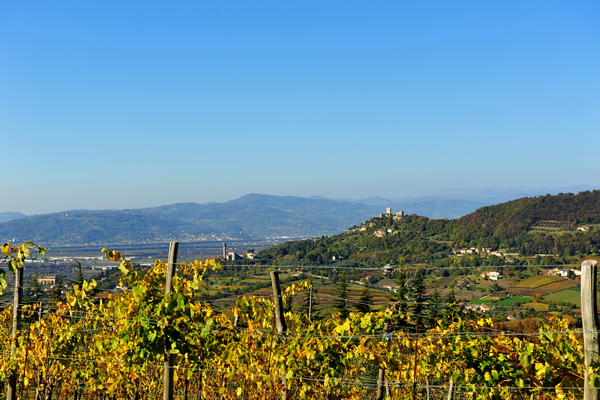 Brendola, passeggiata Agriturismo Da Bedin, Perarolo, San Gottardo