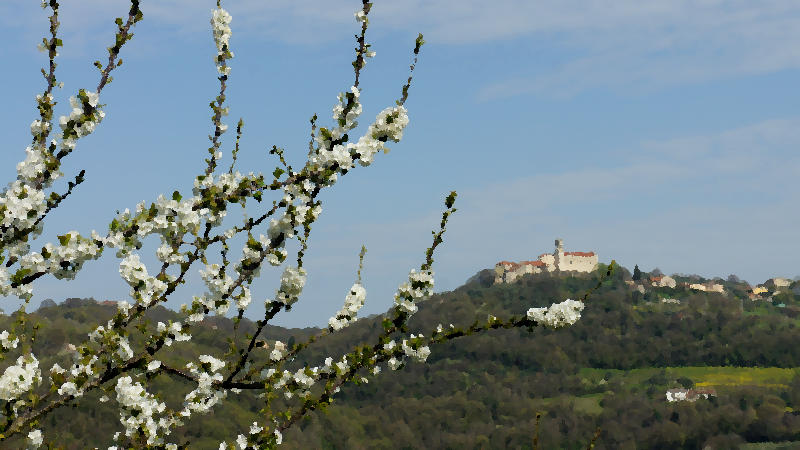 Val Liona, Grancona, Colli Berici
