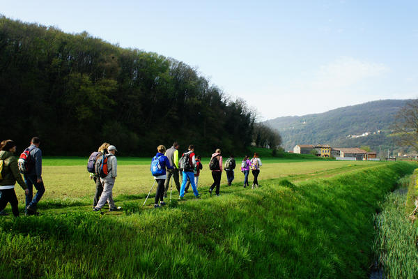 Monti Berici Val Liona - passeggiata Pederiva Monte Faeo Lupia e Casotti di San Germano dei Berici