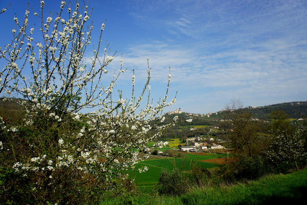 Monti Berici Val Liona - passeggiata Pederiva Monte Faeo Lupia e Casotti di San Germano dei Berici