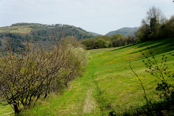 Monti Berici Val Liona - passeggiata Pederiva Monte Faeo Lupia e Casotti di San Germano dei Berici