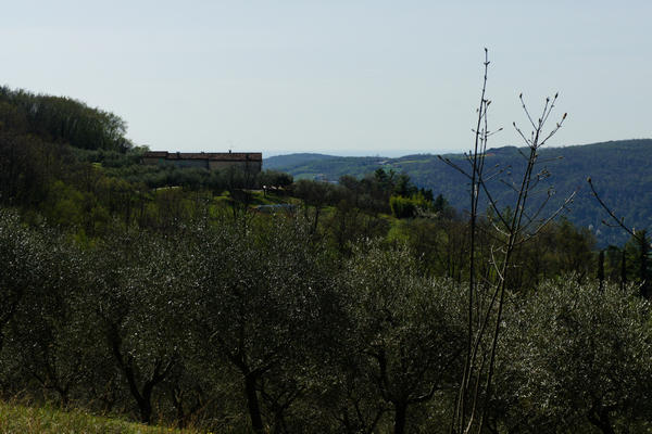 Monti Berici Val Liona - passeggiata Pederiva Monte Faeo Lupia e Casotti di San Germano dei Berici