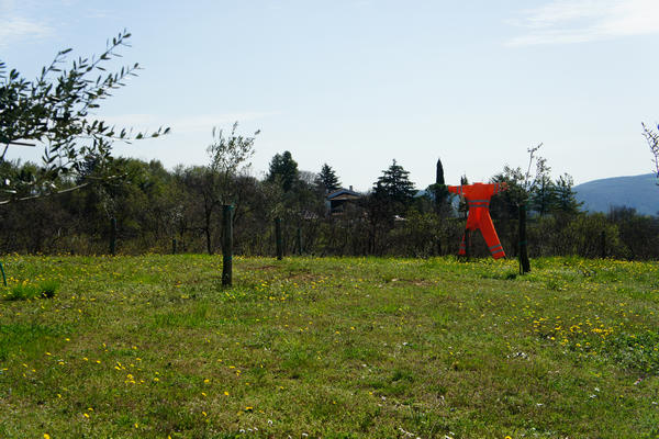 Monti Berici Val Liona - passeggiata Pederiva Monte Faeo Lupia e Casotti di San Germano dei Berici
