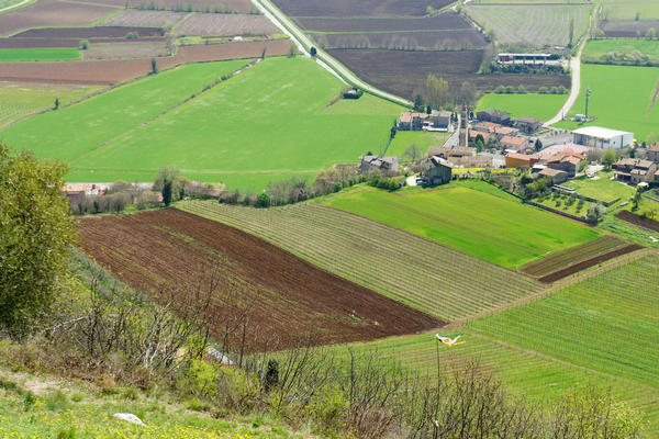 Monti Berici Val Liona - passeggiata Pederiva Monte Faeo Lupia e Casotti di San Germano dei Berici