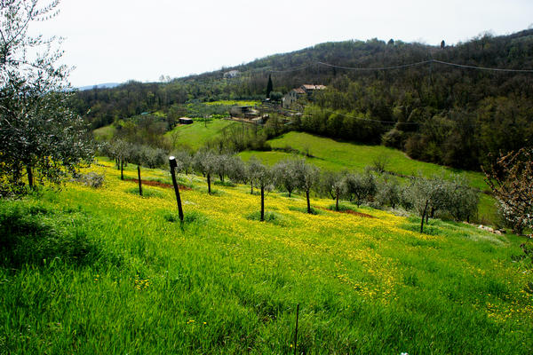 Monti Berici Val Liona - passeggiata Pederiva Monte Faeo Lupia e Casotti di San Germano dei Berici