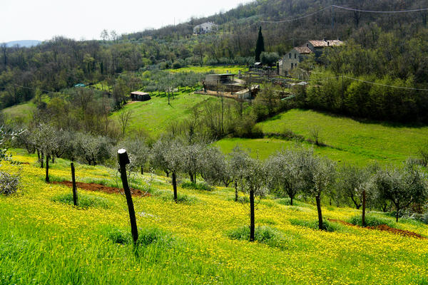 Monti Berici Val Liona - passeggiata Pederiva Monte Faeo Lupia e Casotti di San Germano dei Berici