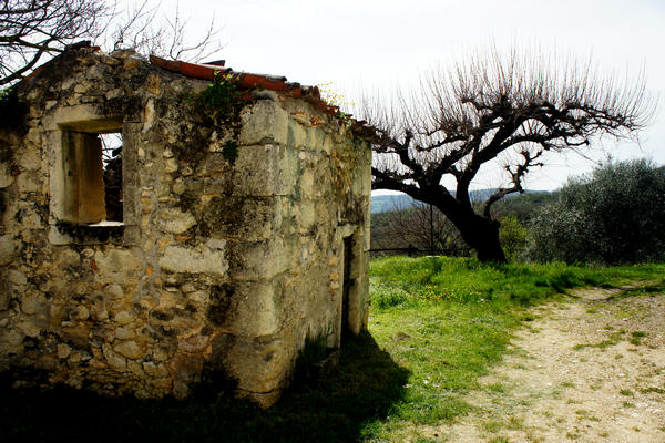 Monti Berici Val Liona - passeggiata Pederiva Monte Faeo Lupia e Casotti di San Germano dei Berici