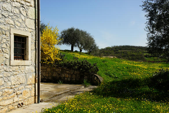 Monti Berici Val Liona - passeggiata Pederiva Monte Faeo Lupia e Casotti di San Germano dei Berici