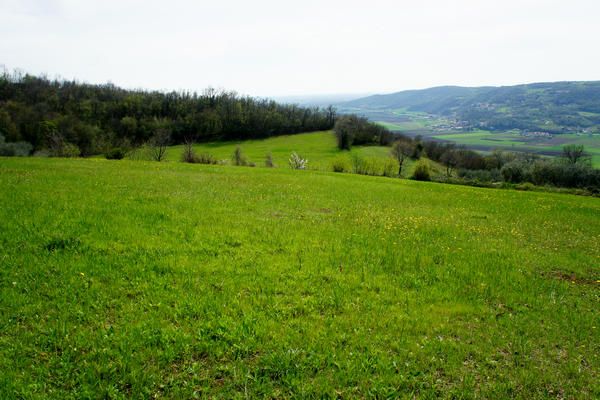 Monti Berici Val Liona - passeggiata Pederiva Monte Faeo Lupia e Casotti di San Germano dei Berici