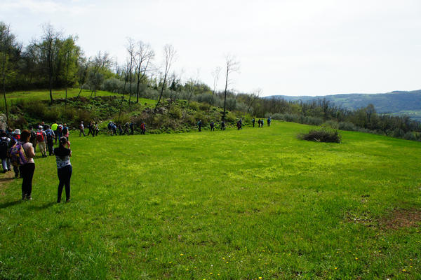 Monti Berici Val Liona - passeggiata Pederiva Monte Faeo Lupia e Casotti di San Germano dei Berici