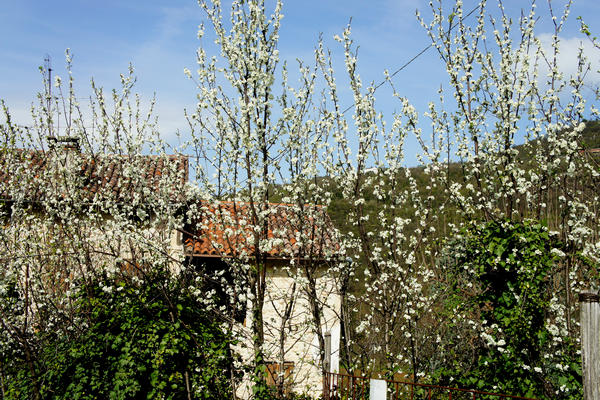 Monti Berici Val Liona - passeggiata Pederiva Monte Faeo Lupia e Casotti di San Germano dei Berici