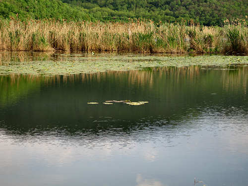 Lago di Fimon - Monti Berici